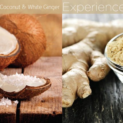Cuccio - Butter Blends Coconut & White Ginger (8oz)