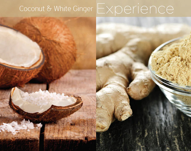 Cuccio - Butter Blends Coconut & White Ginger (8oz)