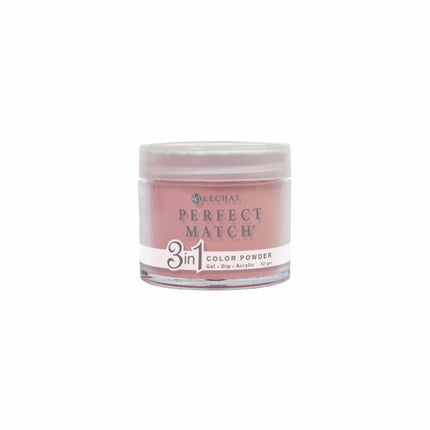 LeChat - Perfect Match Dip Power 42g (#01 - #99)