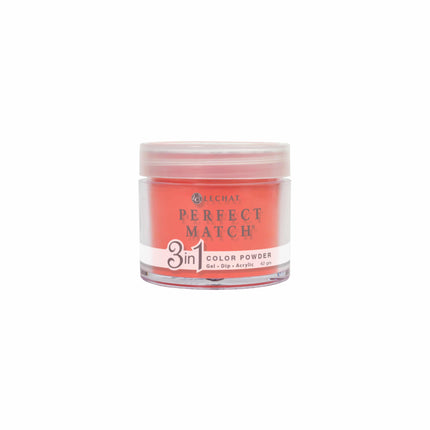 LeChat - Perfect Match Dip Power 42g (#01 - #99)