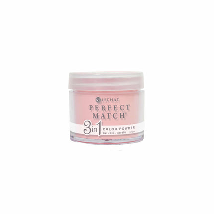 LeChat - Perfect Match Dip Power 42g (#01 - #99)