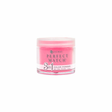 LeChat - Perfect Match Dip Power 42g (#01 - #99)