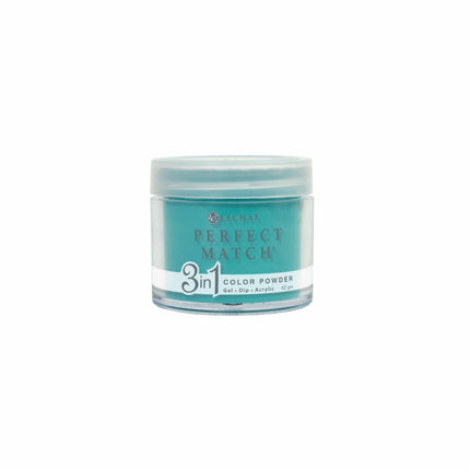 LeChat - Perfect Match Dip Power 42g (#01 - #99)