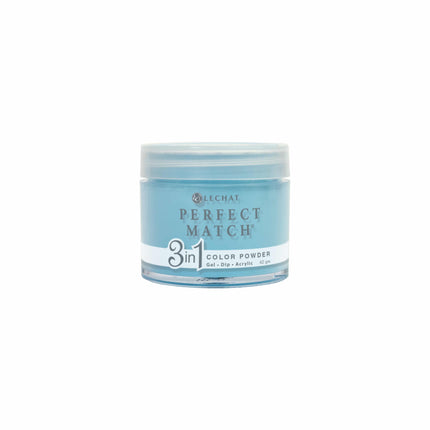 LeChat - Perfect Match Dip Power 42g (#01 - #99)