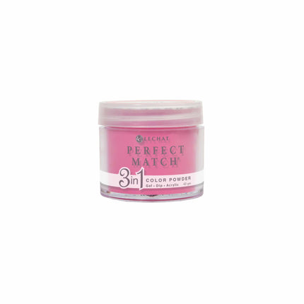 LeChat - Perfect Match Dip Power 42g (#01 - #99)