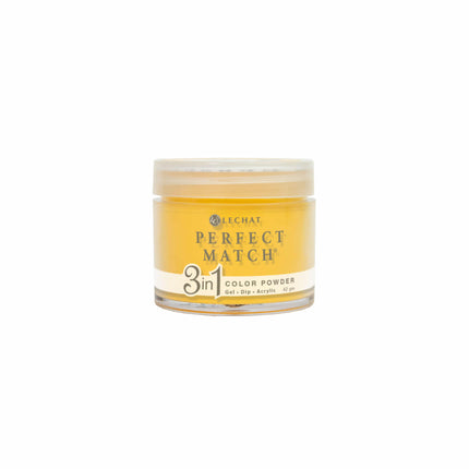 LeChat - Perfect Match Dip Power 42g (#01 - #99)