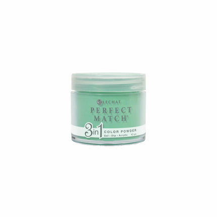 LeChat - Perfect Match Dip Power 42g (#01 - #99)