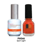 PMS46 - Spot Light